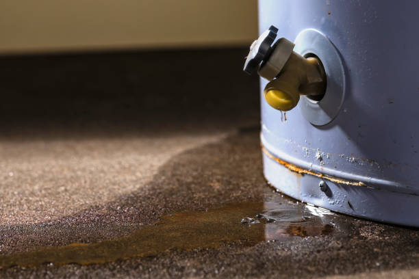 Best Water damage restoration near me  in Lake Camelot, WI