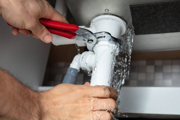 Best Water damage cleanup near me  in Lake Camelot, WI