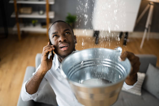 Best Water damage cleanup near me  in Lake Camelot, WI