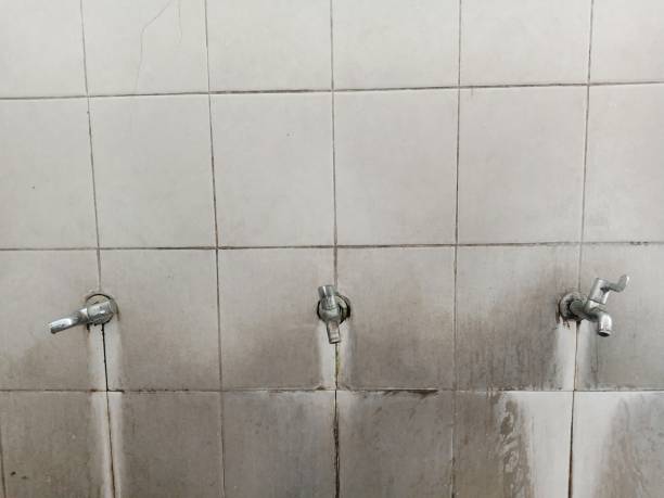 Best Water damage contractors near me  in Lake Camelot, WI