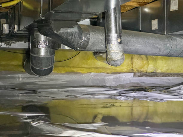 Best Water damage restoration mold remediation  in Lake Camelot, WI