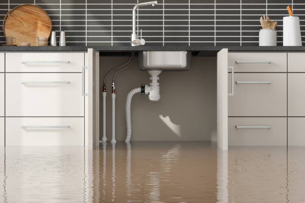 Professional Water damage restoration in Lake Camelot, WI