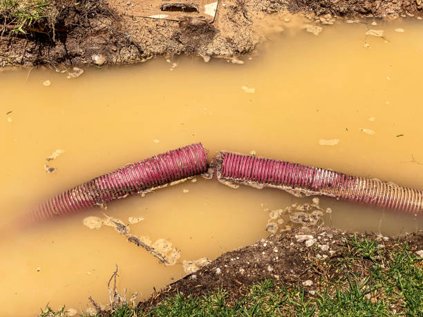 Best Mold removal after water damage  in Lake Camelot, WI